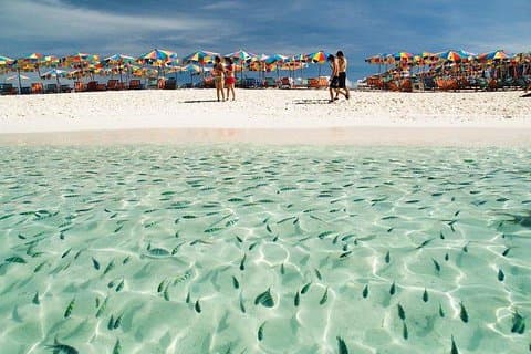 Khai Island Half Day Tour på 3 øyer (Khai Nai, Khai Nok, Khai Nui) fra Phuket
