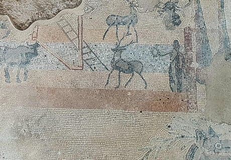 Tour of the Roman Empire from Madrid