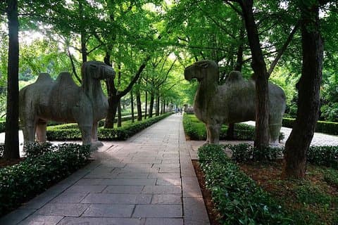 Nanjing Self-Guided Tour from Yangzhou with Private Car and Driver Service