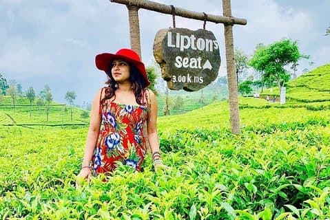 5 DAGES BUDGET TOUR-pakke i Sri Lanka