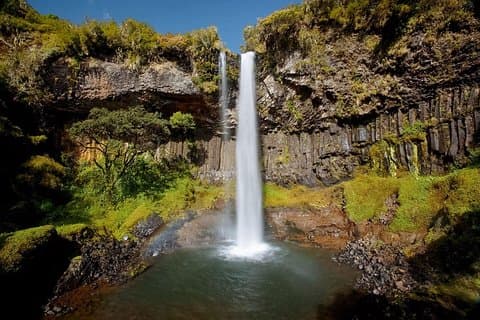 クラシックケニアの至福の冒険