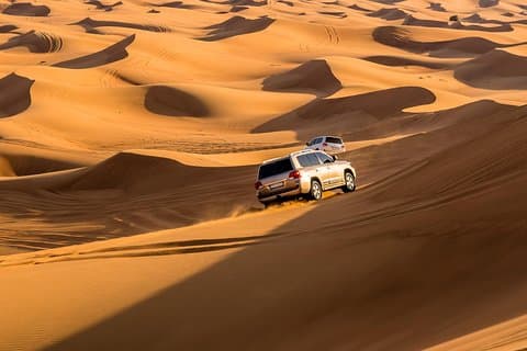 Morgen ørken Safari