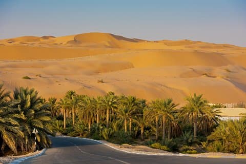 Privat Liwa öken-safari för par hela dagen för par