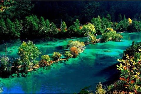 4-dages privat tur: Jiuzhaigou og Huanglong National Park i bil fra Chengdu