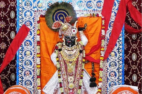 Ekling ji And Nagda (Sahasrabahu Temple) Dagstur