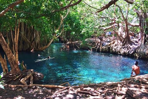 Kikuletwa Hot springs - Day Trip