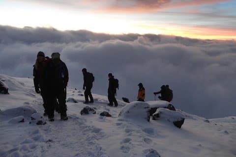 Mount Kilimanjaro Trek 7-dage: Lemosho-ruten