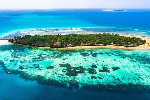 Tour van een halve dag naar Prison Island vanuit Zanzibar