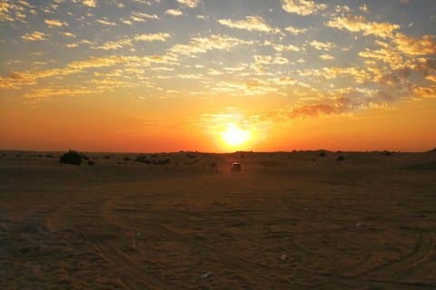Dubai Desert Safari med buffémiddagskväll