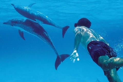 Een privédolfijn- en snorkeltocht van een halve dag naar het eiland Mnemba