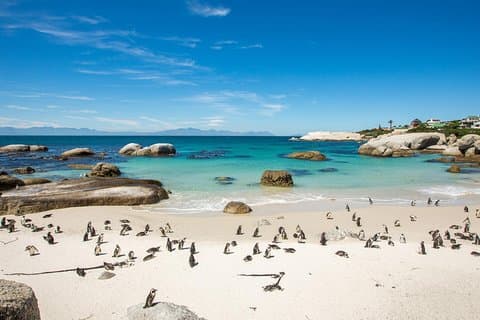 Der Road Trip (Cape Point & Pinguine) - Private Tour