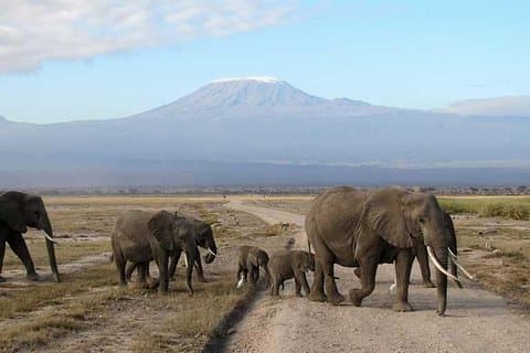 Safari privato Amboseli di 3 giorni
