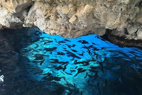 Private Corfu Tour- Glyfada & Paleokastritsa strand