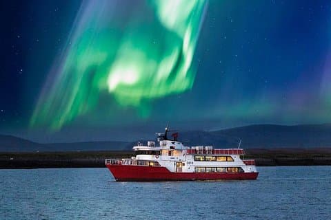 Vintervalskådning och norrskenskryssning från Reykjavik