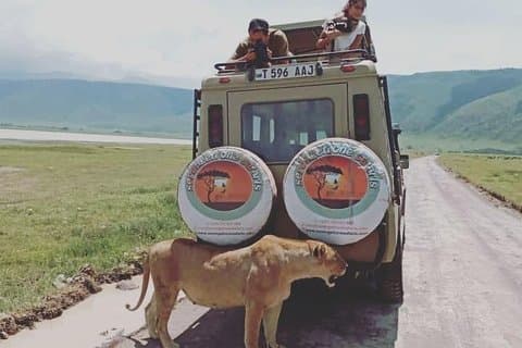 Pumba Tansania Safari