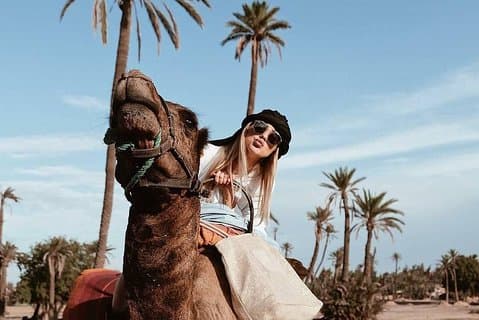 Attività a dorso di cammello nel palmeto di Marrakech