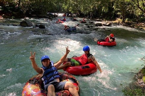 Slangar i Rio Celeste