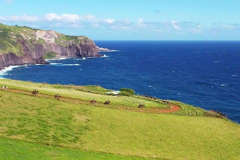 Maui paard avontuur bij Circle M Ranch met echte cowboys