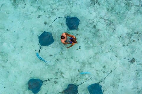 Bora Bora 4WD Tour & Eco Shark & Ray Snorkel Cruise