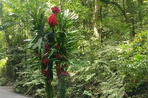 Ocho Rios Beach and Highlight Tour fra Ocho Rios havn
