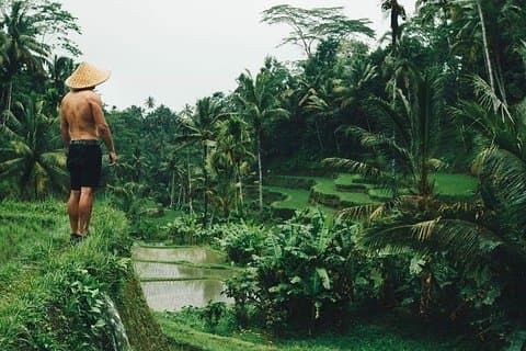 Best Ubud Tours -All inclusive with private driver