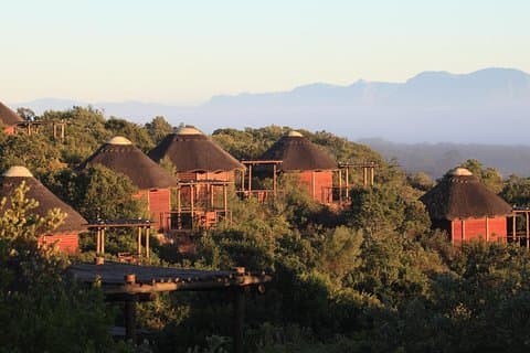 2-daagse safari-ervaring vanuit Kaapstad