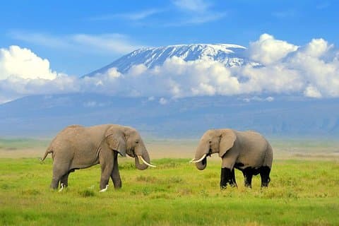 3 Tage Amboseli National Park Reise von Nairobi
