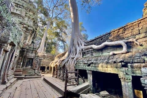 Preah Khan, Ta Prohm, Bayon abseits der ausgetretenen Pfade
