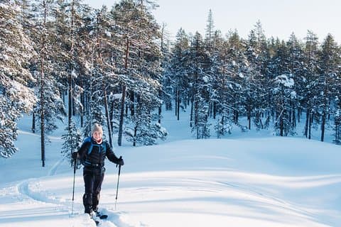 Privat vildmarksski tur i Pyhätunturi med en lokal guide