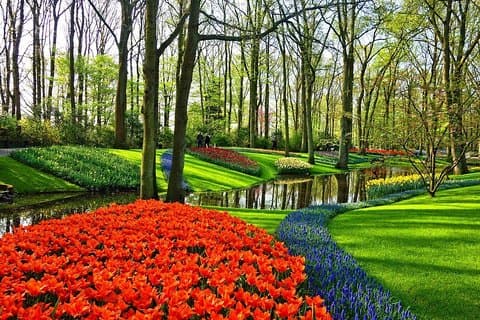 Visite des champs de tulipes de Keukenhof au départ de La Haye