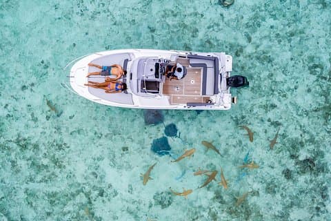 Privétour: Bora Bora Lagoon Eco Snorkel Cruise - 3 uur of 6 uur