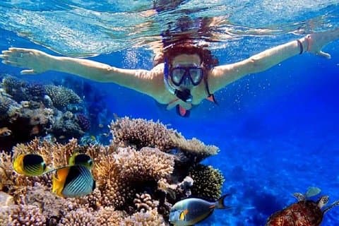 Journée complète dans une île de plongée en apnée privée au départ d'Hurghada