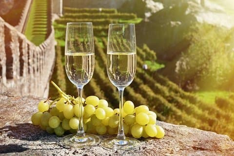 Ganztägige private Führung durch die Champagne mit Abholung vom Hotel