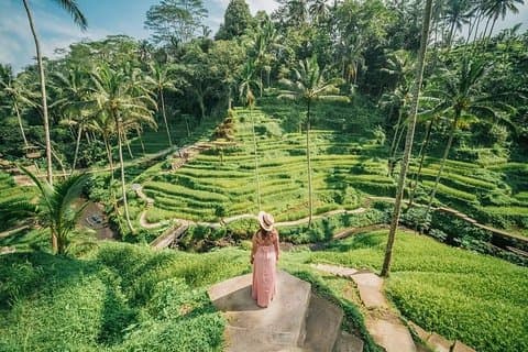 Bali : Progetta il tuo viaggio personalizzato con autista privato
