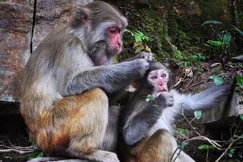 Privat heldagstur til Zhangjiajie Avatar Mountain