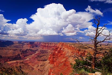 3 Hour Back-Road Safari to Grand Canyon with Entrance Gate By-Pass at 9:30 am