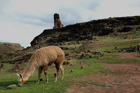 Tour di 1/2 giornata di Sillustani
