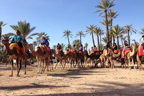 Kameltur i Marrakech