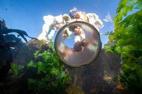 Cape Peninsula med en marinbiolog