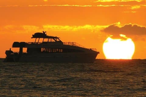 Crucero al atardecer con observación de ballenas heredadas