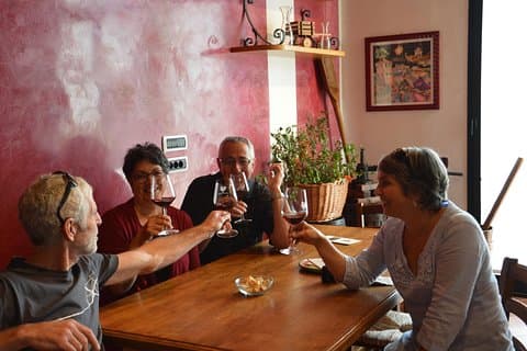 4 WIJNEN PROEVEN in een Chianti Classico Farm (bezoek / rondleiding in het wijnhuis inbegrepen)