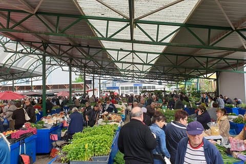 Targu Mures 3 timmars vandring