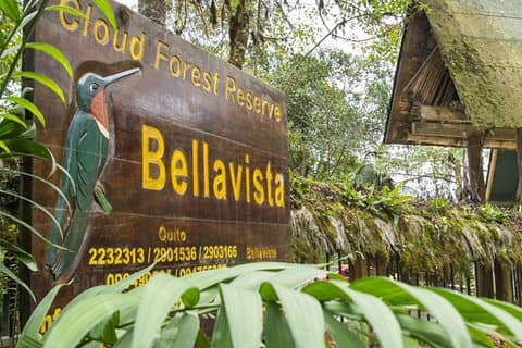 Reserva Florestal da Nuvem Bellavista / 3 dias