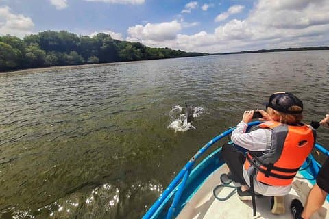 Dolphin Watching Experience in Puerto El Morro from Guayaquil