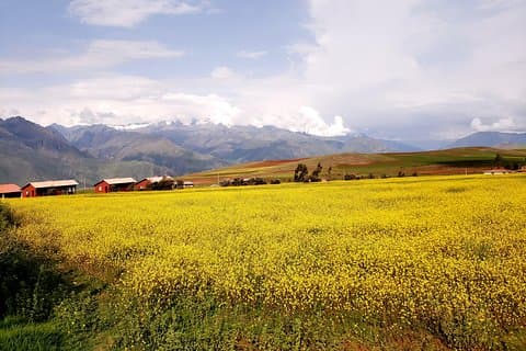 Sacred Valley-tur med den vakreste utsikten