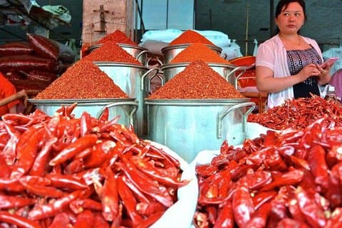 A 4 -hour Experience of Chengdu Life :Food and Tea