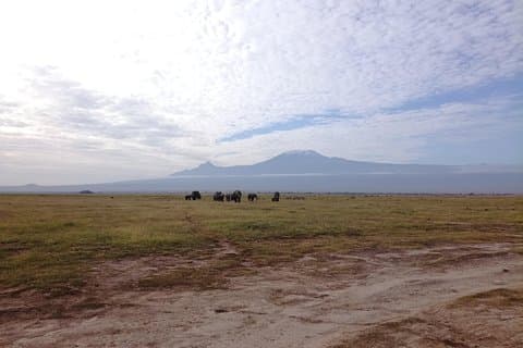 4 dager Amboseli & Tsavo West Wildlife Safari