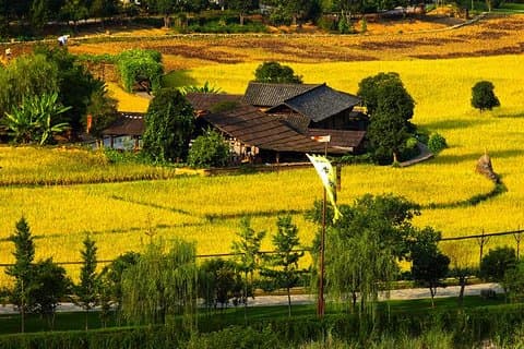 Zhangjiajie Downtown One‑Day Tour with Private Car and guide