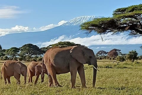 13 jours de safari avec les photographes