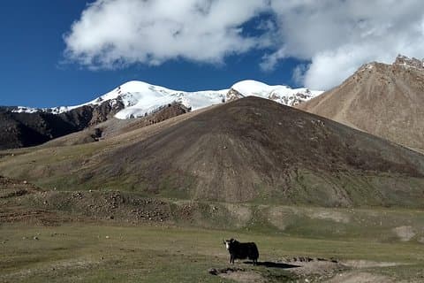 17 dage Trekking Shimshal Pass Manglik Sar (6050m højdepunkt Pakistan